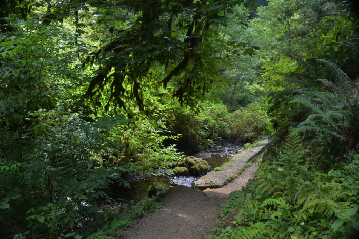 the walking trail to the waterfalls